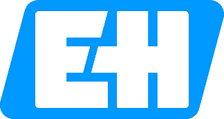 Endress+Hauser logo